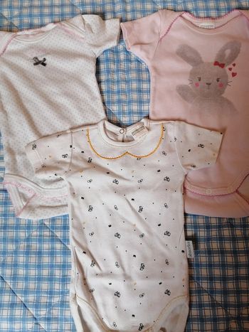 Lot de 3 bodies absorba 3mois