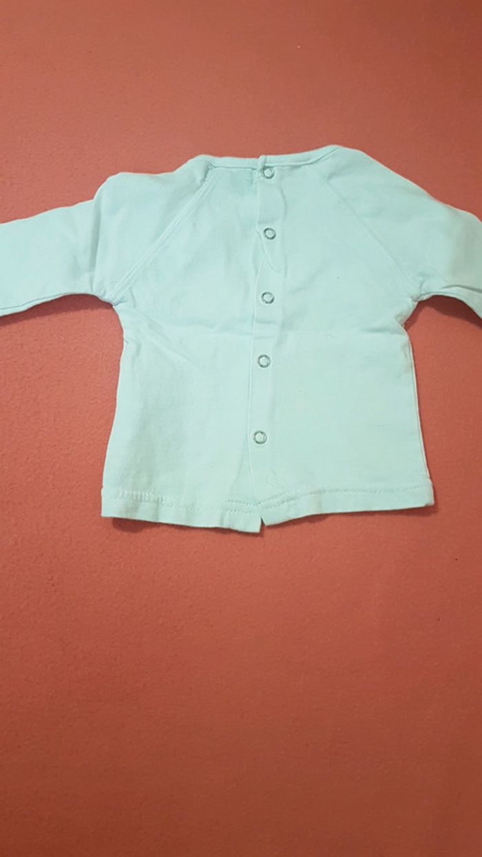 Tee shirt - photo numéro 2
