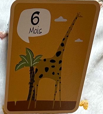 Lot 6 mois 55 pièces