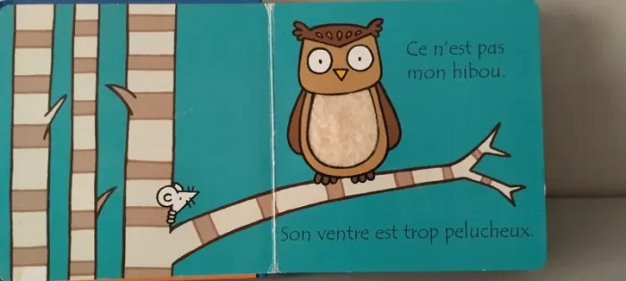 Où est mon hibou ? - photo numéro 3