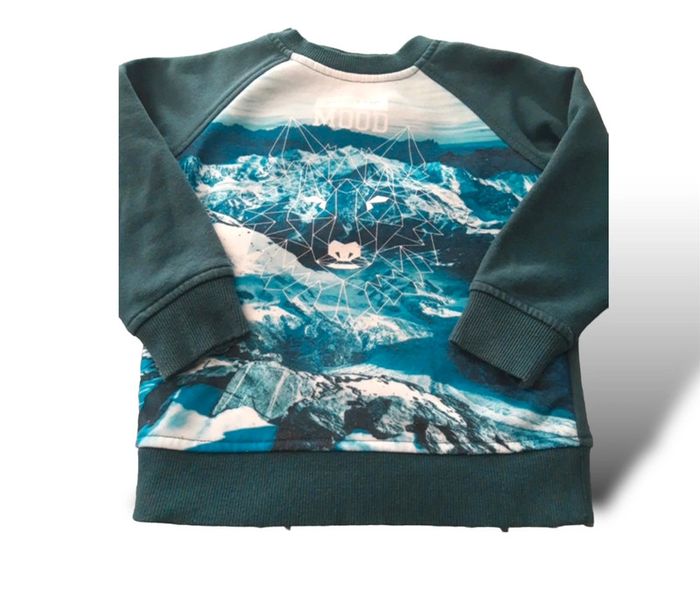 Sweat-shirt épais vert sapin imprimé mountain