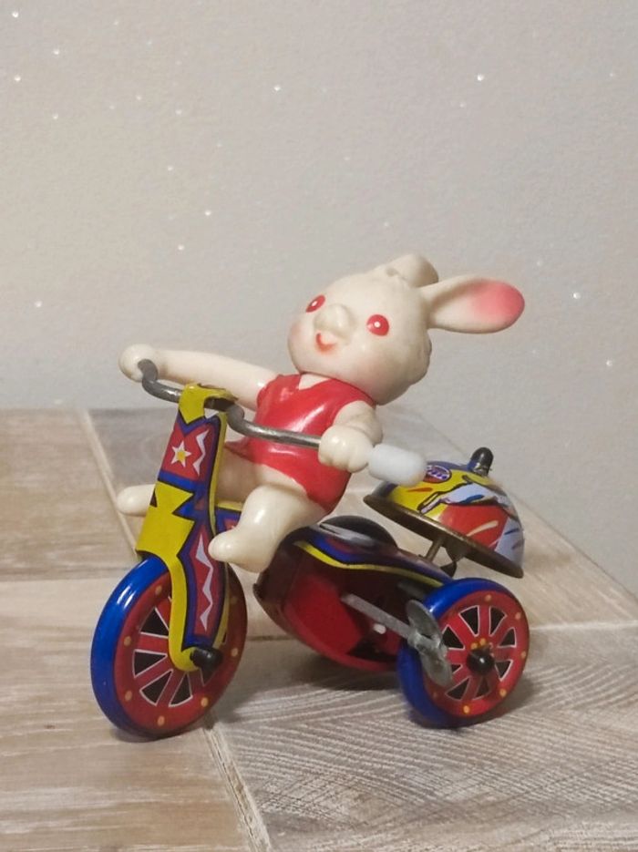 lapin litho mécanisme ok sur son vélo - photo numéro 3
