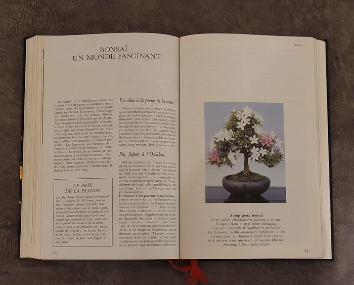 La maison fleurie - le guide le plus complet - photo numéro 6