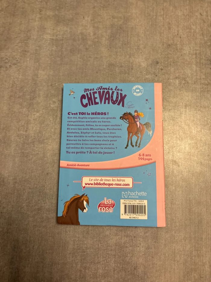 Livre mes amis, les chevaux, c’est toi le héros - photo numéro 3