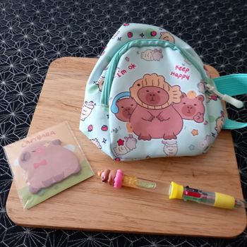 Sac bandoulière Capybara et ses accessoires