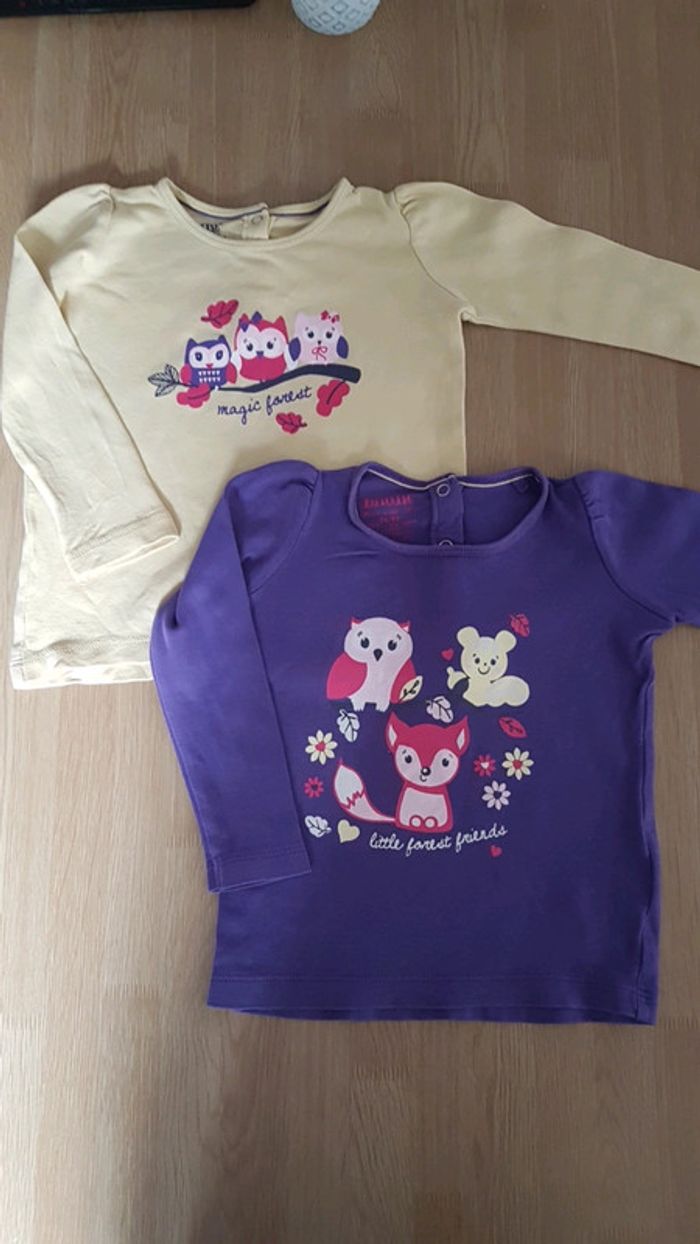 Lot de 2 t shirt chouettes et renard