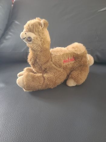 Peluche chameau