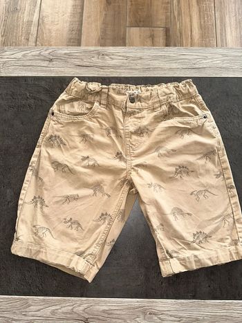 Bermuda dinosaure 12 ans