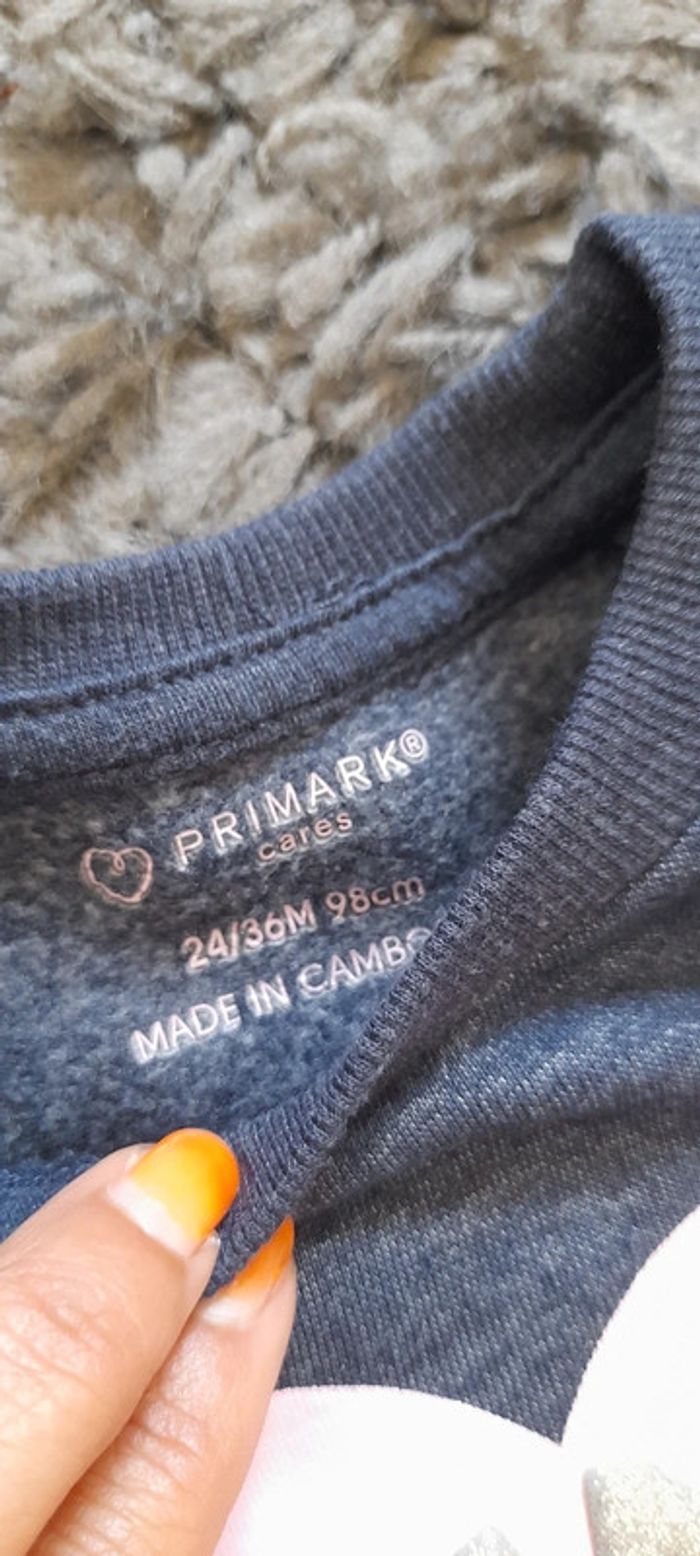 Lot sweat pull - photo numéro 9