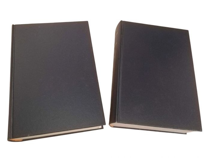 Dictionnaire unilingue espagnol en deux volumes - photo numéro 3