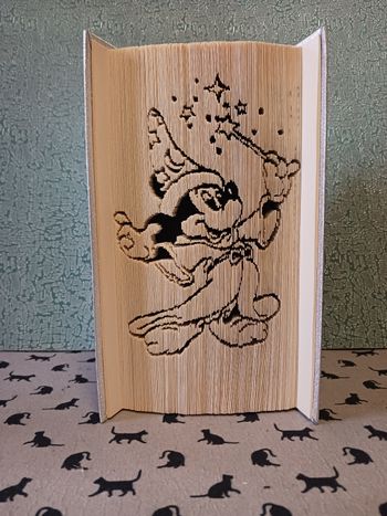Livre mickey