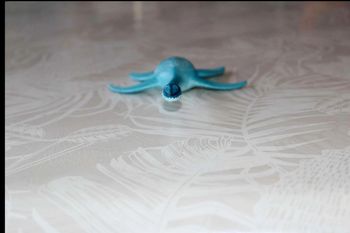 dinosaure plésiosaure