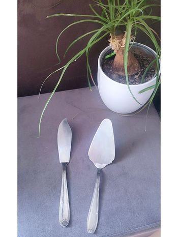 Couverts de service Inox