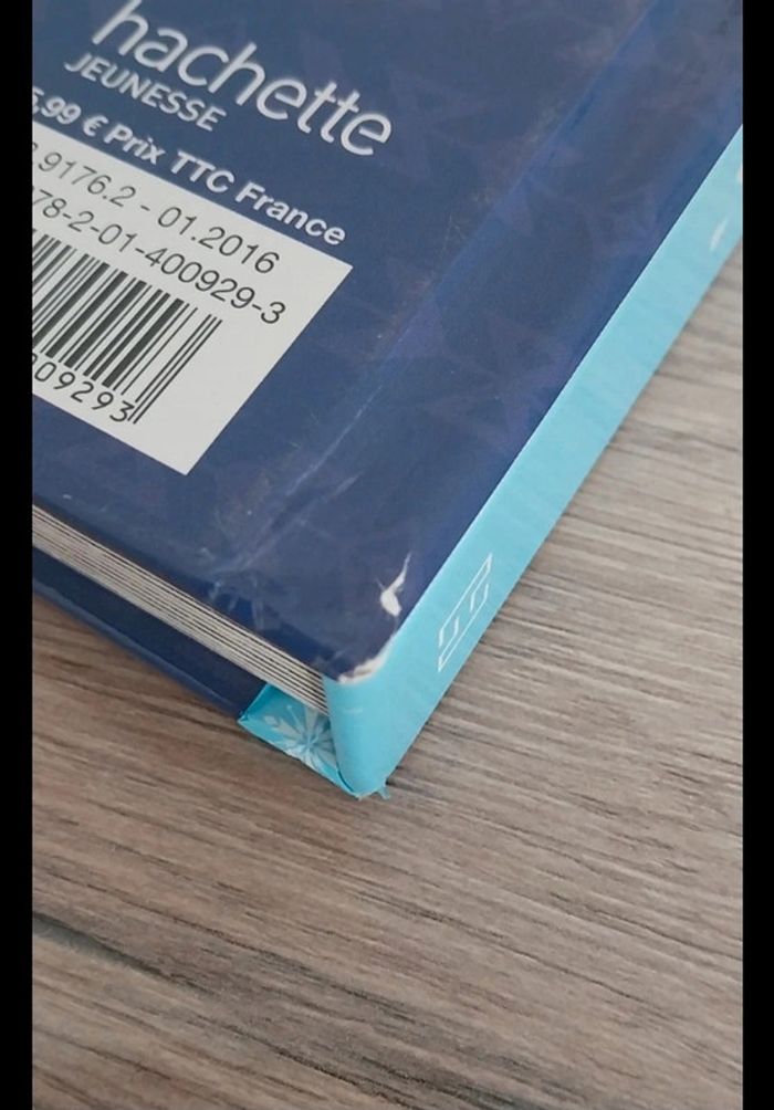 lot livre de la reine des neiges - photo numéro 3