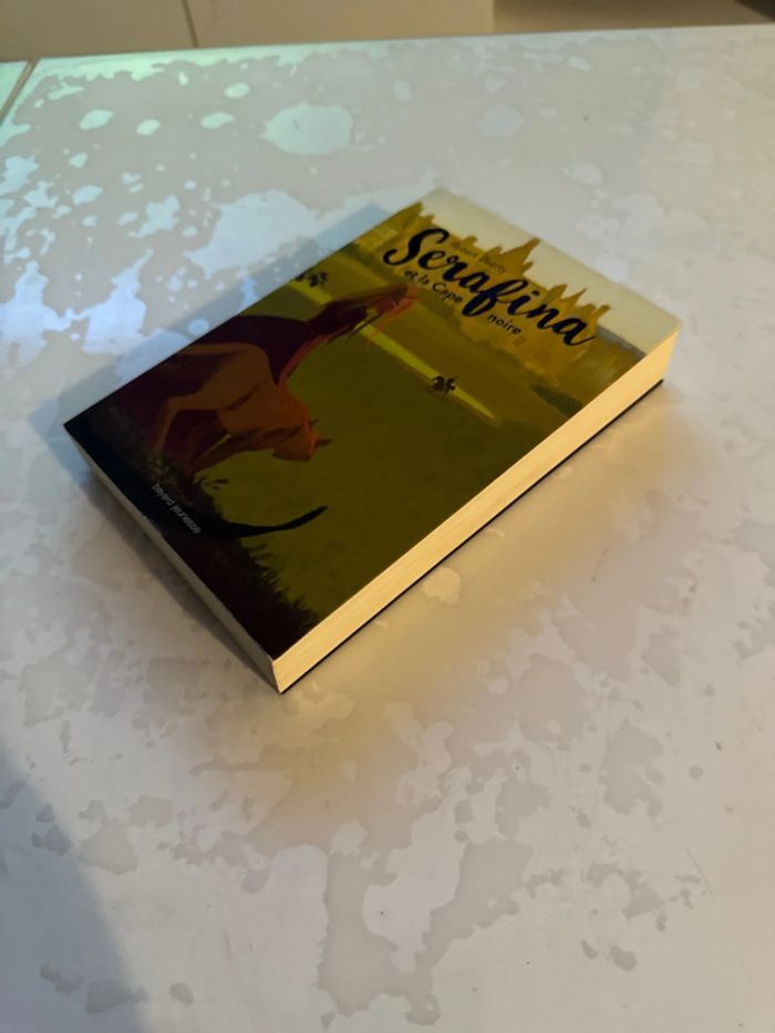 Livre Serafina et la cape noire - Robert Beatty - photo numéro 3