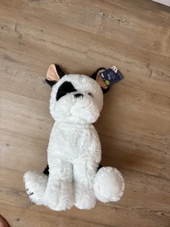 Peluche ray