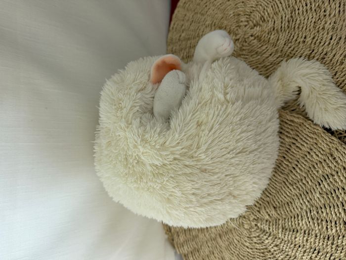 doudou chat persan blanc peluche cali pets dujardin - photo numéro 4