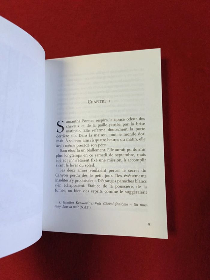 Cheval fantôme Tome 3 " Une jument dans les flammes " Terri Farley - photo numéro 10