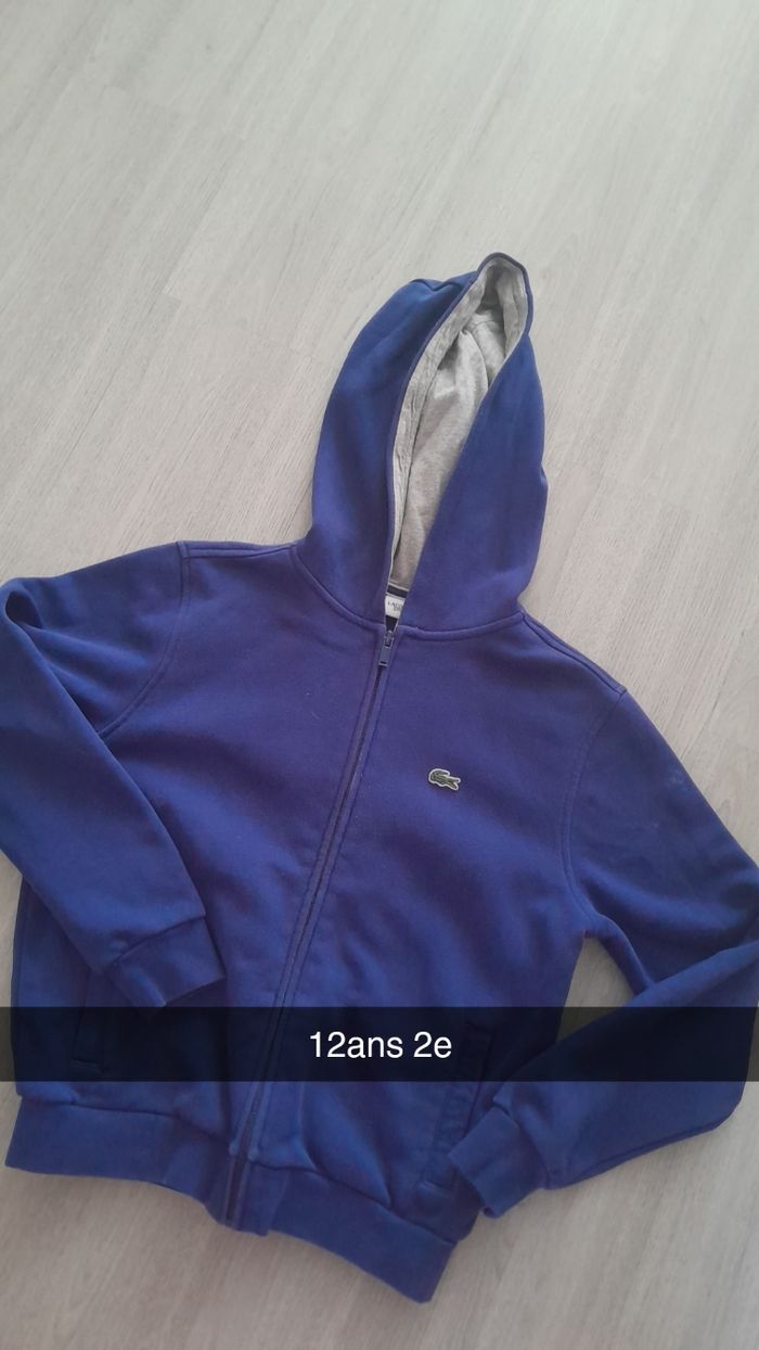 Lot sweat - photo numéro 5