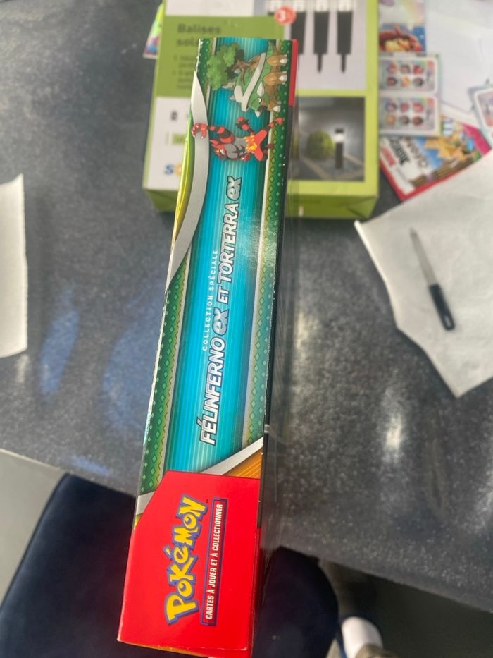 Coffret florizarre ex et tortank ex - photo numéro 2