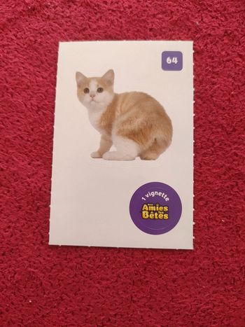 Carte nos amies les bêtes