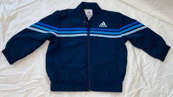 veste/ gilet adidas  12 mois