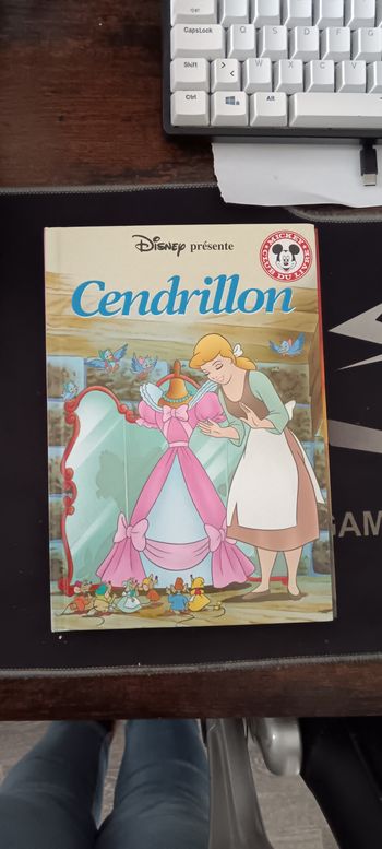 6 livres Disney pour enfant