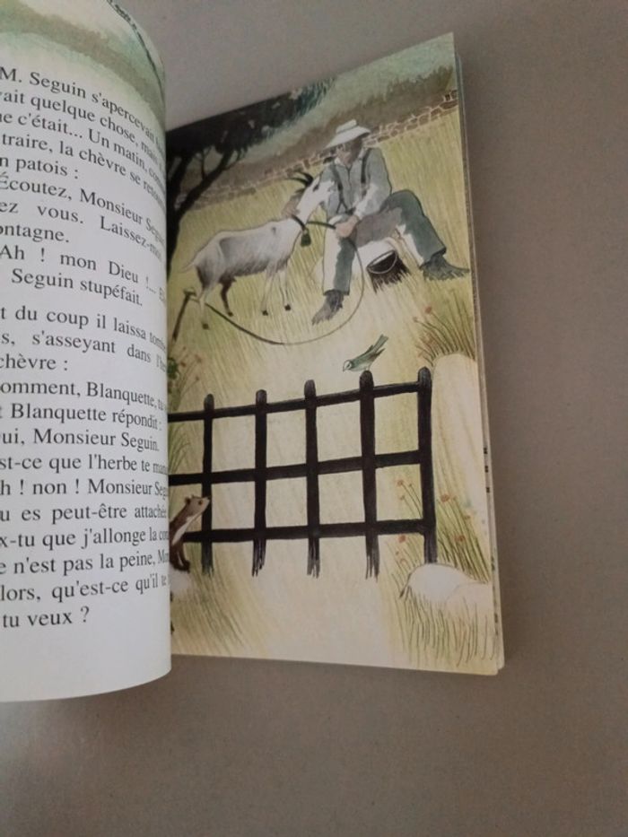 La chèvre de Monsieur Seguin Alphonse Daudet castor poche cadet - photo numéro 9