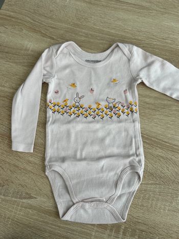 Body 12 mois
