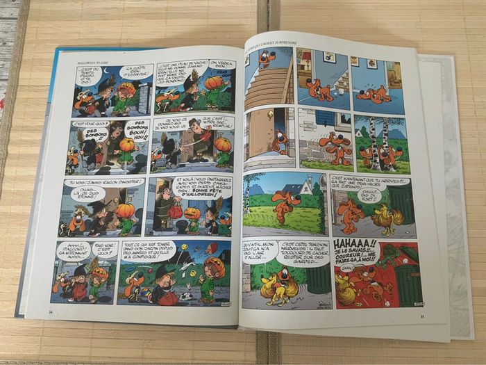 Boule et Bill : Graine de Cocker - photo numéro 3