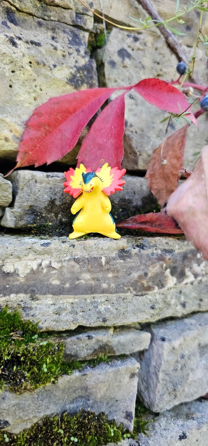 Super figurine Pokemon Nintendo typhlosion - photo numéro 3