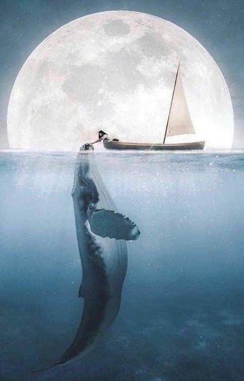 Affiche  "bateau qui flotte"