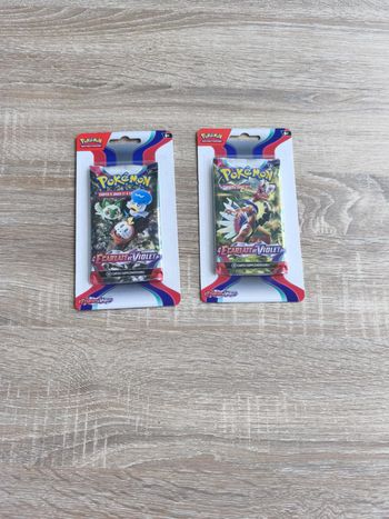Lot de 2 boosters EV01