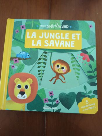 Livre enfant la jungle et la savane