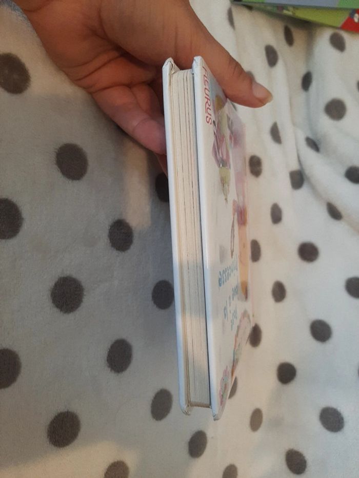 Livre p'tite fée  : Rose joue a la princesse - photo numéro 3