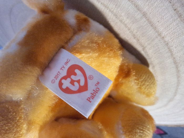 Peluche de collection Ty Beanie Boos PABLO Chihuahua 2015 - photo numéro 9