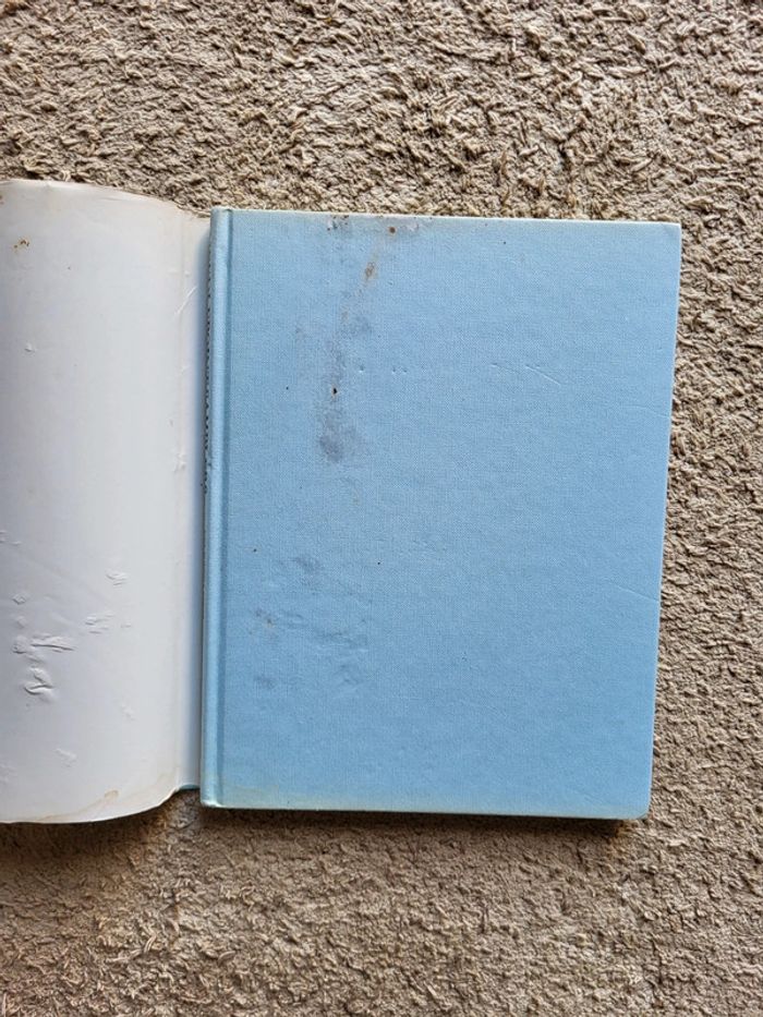 Needlepoint Samplers de Felicity Lewis (Livre en anglais) - photo numéro 5