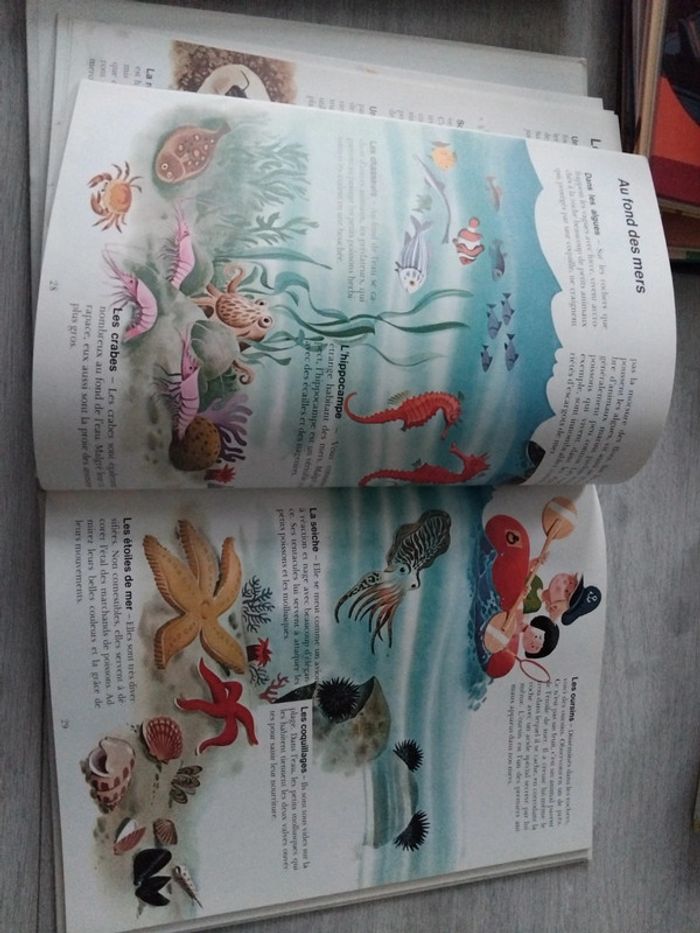 Le livre de la nature - photo numéro 2
