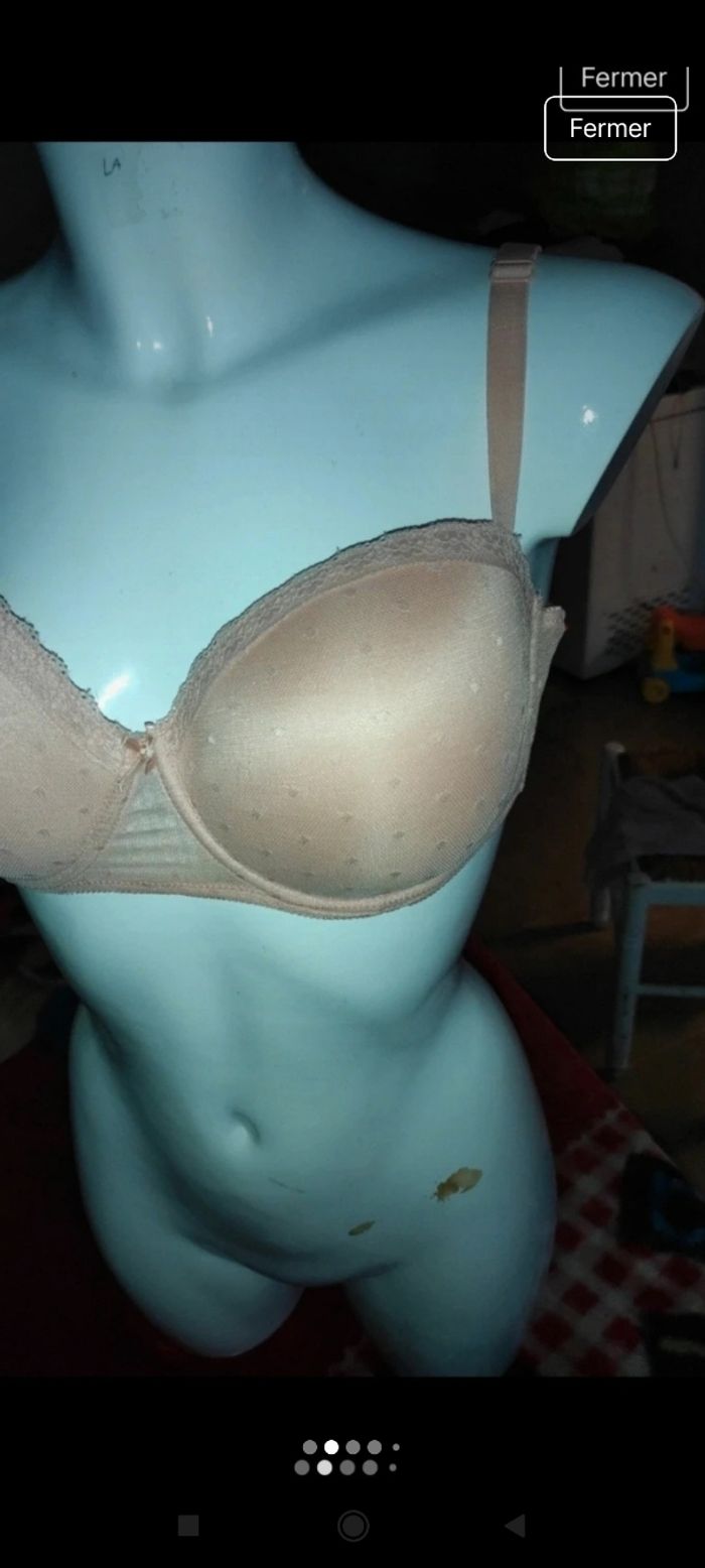 Très beau soutien gorge secret possession f1 - photo numéro 2