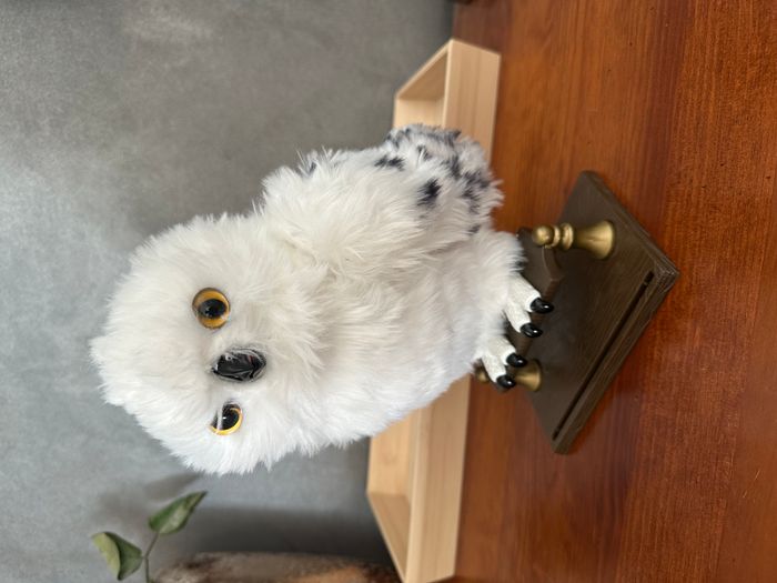 Hedwige Harry Potter