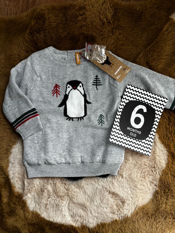 Pull gris pingouin Orchestra t.6m