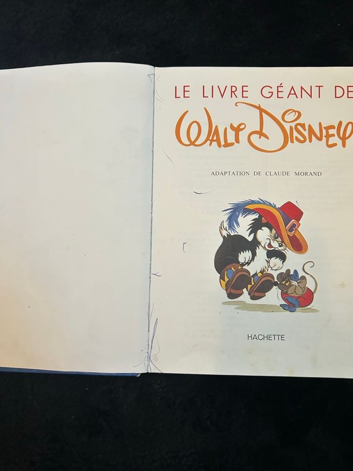 Livre collector Walt Disney - photo numéro 2