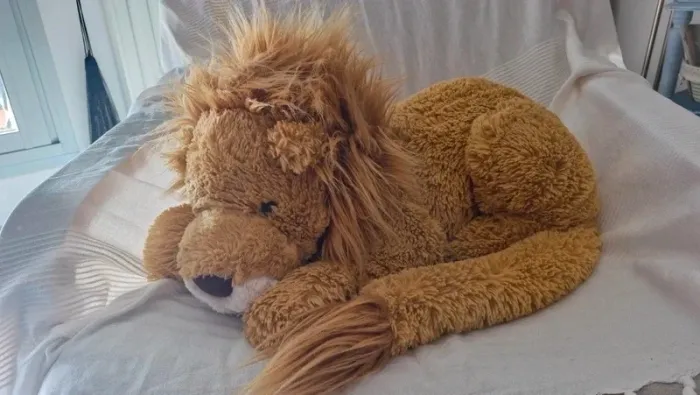 Lion jellycat - photo numéro 7