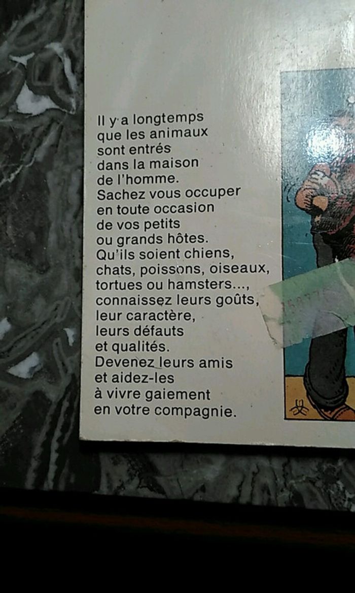 Livre un animal à la maison - photo numéro 3