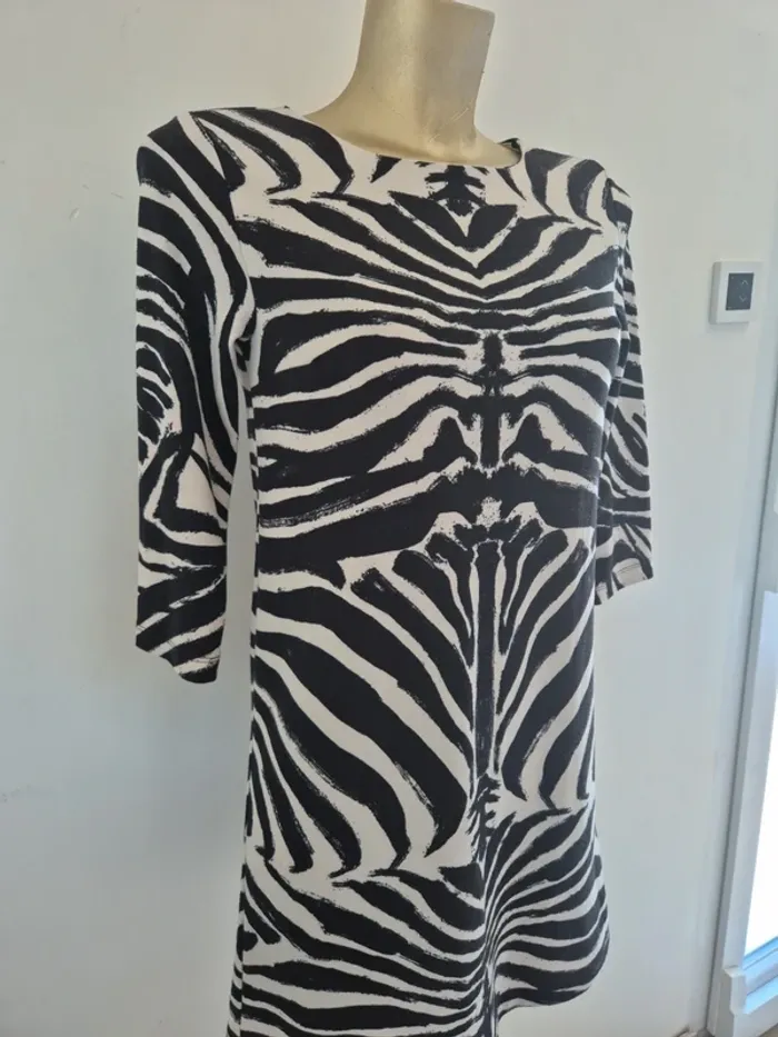 Robe zèbre taille xs h&m - photo numéro 4