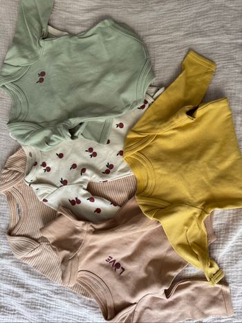 Lot 5 bodies