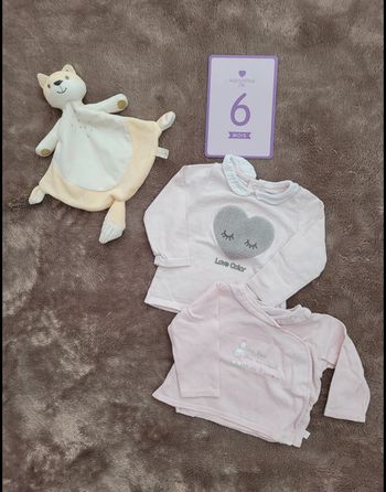 Lot de 2 tee shirt ML