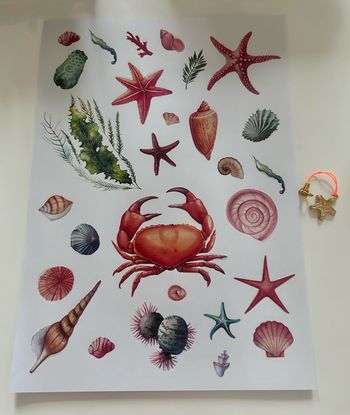 Élément décoratif pour scrapbooking