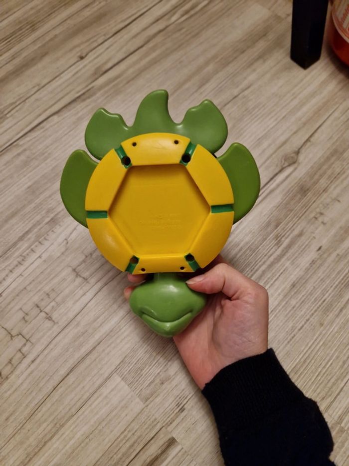 Jeu tortue - photo numéro 3