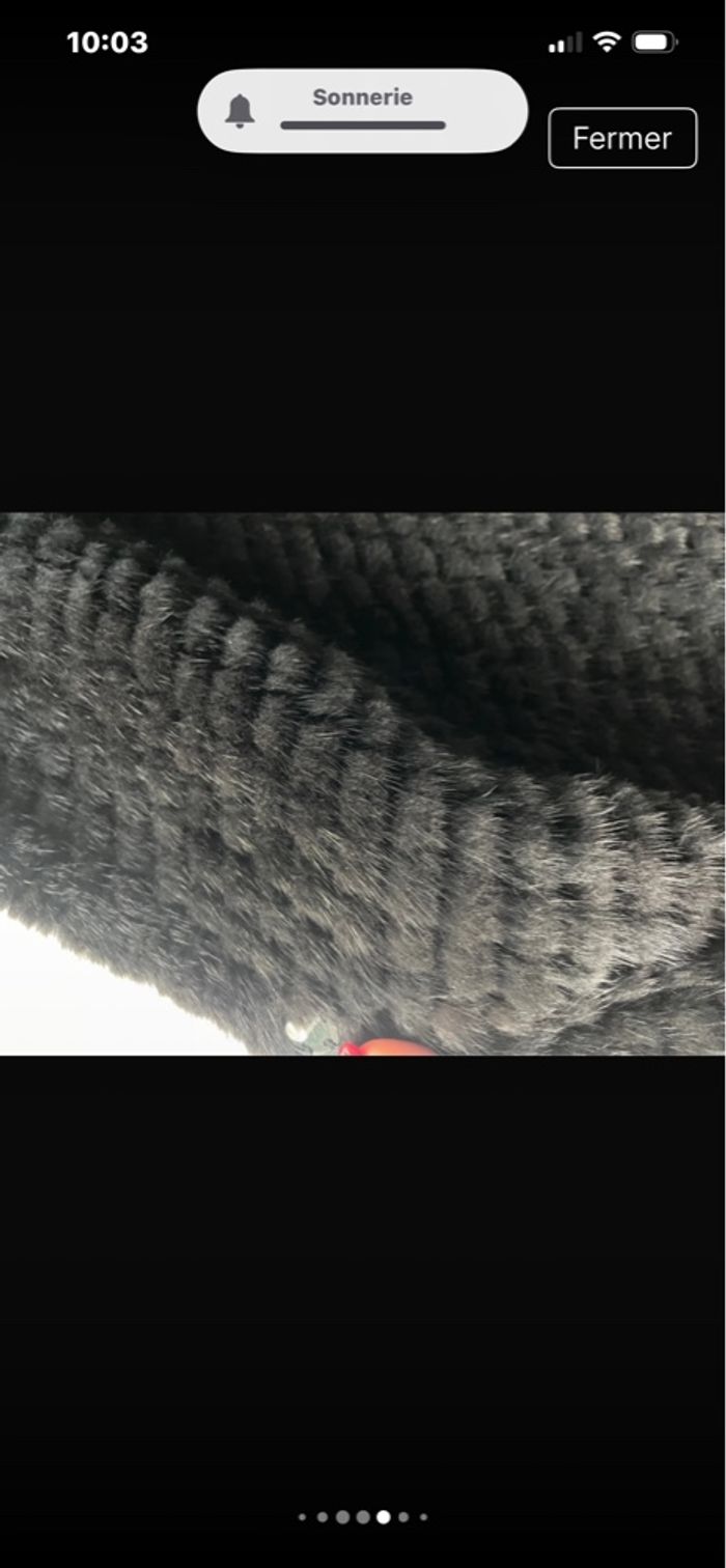 Veste en vison noire - photo numéro 5